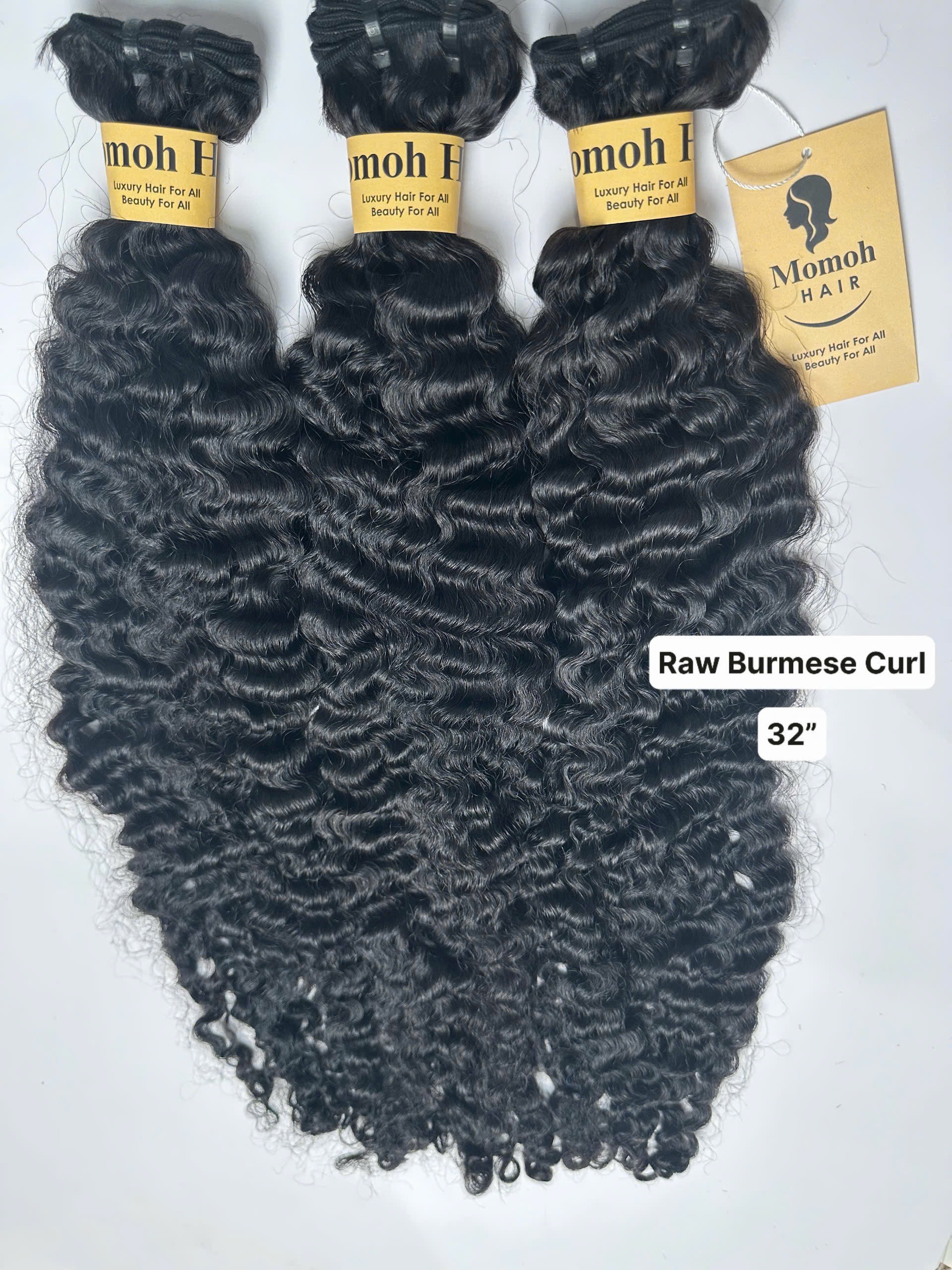 Burmese curl